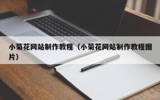 山东小菊花网站制作教程（小菊花网站制作教程图片）